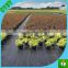 2*50/2*100/4*100 or as other sizes weed mat/weed control mat, ground cover supplied by famous China factory