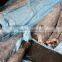Smooth Skin Frozen Oil Fish