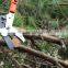 Telescopic Alum Anvil Pruner Garden Tools