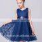 Dress Summer Lace Princess Dress Girls Dress