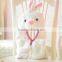 Husky Plush Animal Hat / Scarf / Mittens - Husky
