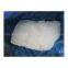 frozen squid fillet calamari fillet