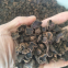 Factory Price Premium Quality Chinese Wild Dried Mushroom Black Truffle (1-4CM&4-6CM)