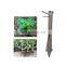 Manual Vegetable Watermelon Seedling Transplanter Chili Transplanting Machine