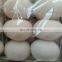 cusotomize size and color 6mm wool felt ball for sryer