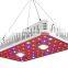 2020 Factory Hot sale Led 1000 Watt Grow Light UV Bar With COB