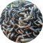 Fast Delivery Stud Link  Marine Anchor Chains With  BV certificate