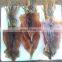 high quality frozen seafood bulk vietnam dried squid for sale