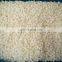 Sinocharm  BRC A Approved New Season 10x10mm Non Worm Sweet Crisp IQF Frozen Diced Apple