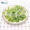Sinocharm BRC A Approved W5-7MM IQF Sliced Green Pepper Strips Frozen Bell Peppers