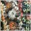 Wool boucle fabric