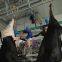Design Mini Cow Slaughterhouse Equipment Cattle Halal Meat Processing Slaughter Machine