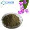Banaba Leaf P. E.1%-98% Corosolic Acid Cas Number 4547-24-4