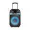 12 Inch Portable Trolley Subwoofer Speaker With Colorful RGB Lights 60W Deep Bass Support Dual Wireless Mic