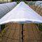 Anti acid rain plastic cover woven greenhouse film,transparent 200 micron waterproof tarpaulin,UV block agriculture plastic film