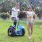 With CE,China scooter electric 2 wheels,self balance electric,new style personal transporter for golf mobility or sightseeing