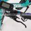700C Carbon fiber high standard electric bicycle with 8 fun motor (Model YAKE MG)