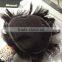 Men hair toupee Type and Indian Hair Human Hair Type Men's toupee