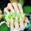 High Quality nail applique 3D Nail Sticker Kaho Nail Sticker