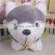 Custom Cheap Cute Pig Plush Toys