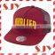 Fashion Sport Cap Style Custom 3d Embroidery Hat