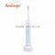 Replaceable Head Inductive Charging Base With a AC Plug Sonic Electric Toothbrush