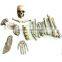 2016 CHEAPER 12PCS BAG OF BONES FOR HALLOWEEN DECORATION