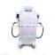 Body Shaping Micro Machine Slimming Machine Fat Freezing Rf Vacuum Cavitation Cryolipolysis Freezefats From China