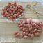 New Crops Red Skin Peanut Kernel