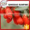 The red dried wolfberry with low price