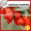 The red Chinese bulk goji berries with low price