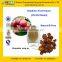GMP Factory Supply Hawthorn Fruit/Leaf Extract