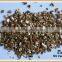 Growing Medium Horticulture Grade Vermiculite