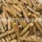 New type bio fuel processing machine