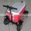 Hot sale Christmas gift Gas Cooler Scooter 43CC SX-G110 from China