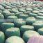 white silage wrap films for grass balers