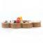 Food Feeder Claw Bone Design Education Interactive Wooden Dog Toys