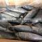 Good quality tuna