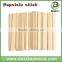 popsicle stick stamp with logo