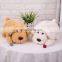 Dog Car Tissue Paper Box Wholesale