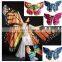 Best Dance Belly dance fancy wings butterfly wings dress up party Hand made Halloween dress up wings