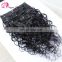 Raw unprocessed virgin indian hair clip in remy human hair extensions