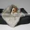 Luxury Pet Sofa Bed Warmly Faux Fur Memory Foam Orthopedic Cute Dog Pet Bed
