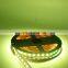 RGB+White+ Warm white  5 in 1 Strip lights DC24V 5050 smd 96LED/m 5m/Roll