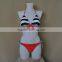 Bikini 2013 New Style