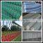 Hot sale 6 ft chain link fence price made in China for playground