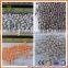No drying fertilizer granulation equipment