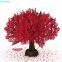 Red Sakura Tree 3D Folding Card Beautiful Valentine’s Day 3D Pop Up Card for My Wife