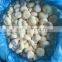 IQF Frozen Water Chestnut Whole/Dices/Slices