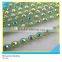 Plastic Rhinestone Chain Sew on Ss10 3mm AB Crystal Chrysolite Banding 1x180 Pcs 10 Yards
